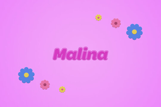 Malina female girl name illustration in pink with blossoms, flowers