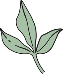Simple Peony Leaf Drawing