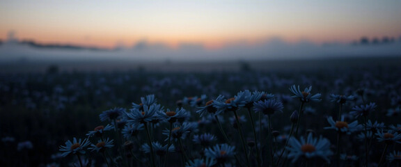 Wildflowers bloom silhouetted in a foggy field during twilight, creating a serene and tranquil moment enhanced by the lush natural scenery.

