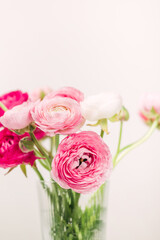 Beautiful ranunculus flowers in a clear vase