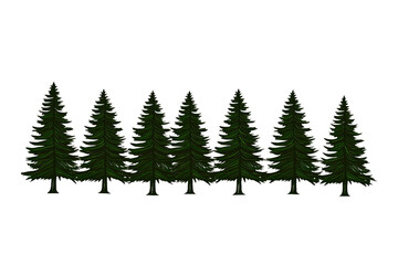 Obraz premium A dense row of evergreen trees showcasing lush green foliage, perfect for conveying a sense of tranquility in nature.