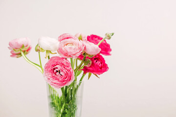 Fototapeta premium Colorful pink ranunculus flowers in a delicate arrangement