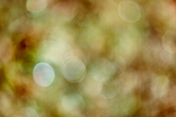 abstract background with bokeh