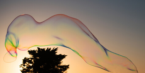 Big soap bubbles in sunset. Big bubble flying over blue sky. Huge colorful soap bubbles fly over cloudy sky background.