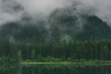 Lake and the forest in the fog
