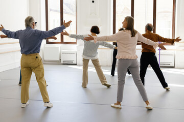 Back view of retirees warming up in front of window at dance school 