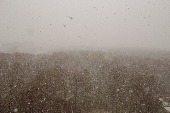 Fototapeta snow park view