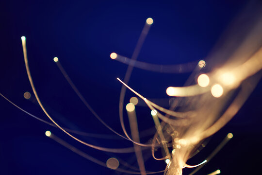 Dynamic fiber optic motion