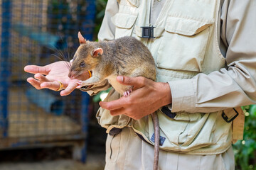HeroRat Training in Cambodia