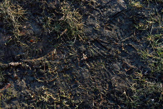 Overhead view of boot prints in spring mud