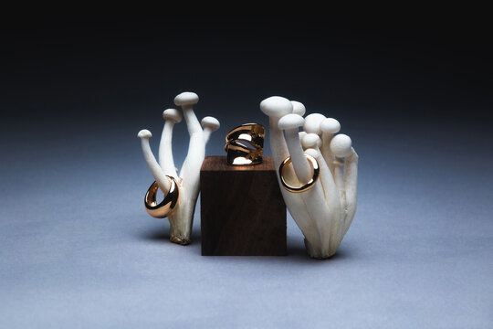 still life of golden rings presented on enoki mushrooms