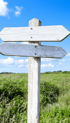 Fototapeta premium Blank wooden signpost in grassy field under blue sky (1) AI generative