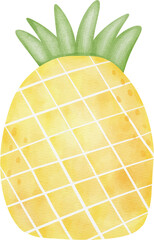 Watercolor Pineapple