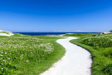 Obraz premium Winding coastal path through wildflowers, leading to ocean view under a vibrant blue sky AI generative