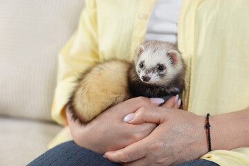 Woman with cute ferret on sofa, closeup