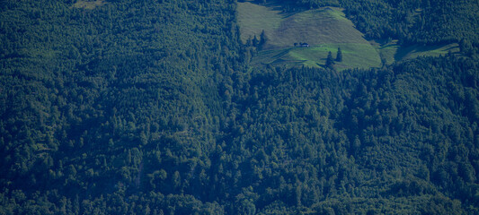 Mountains and tree background. Mountains landscape. Alpine meadows and beautiful mountains. Forest background. Mountain landscape background. Panoramic view of mountain. Nature background.