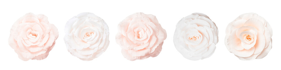Obraz premium Beautiful paper flowers on white background, set. Top view
