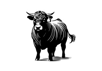 Japanese Black wagyu cattle hand drawn vector illustration