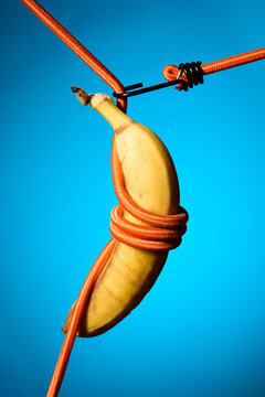 Suspended Banana Wrapped in Orange Rope