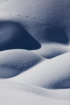 Close-up of untouched snow with small animal tracks