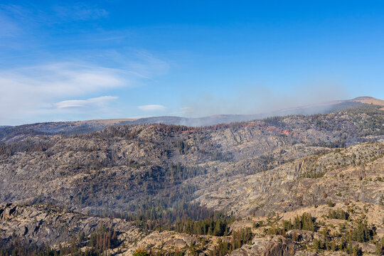 intentional forest fires