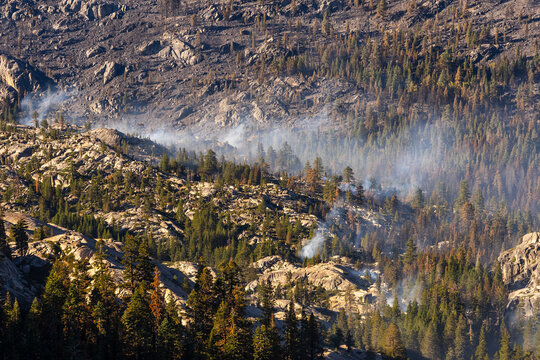 Controlled Burn