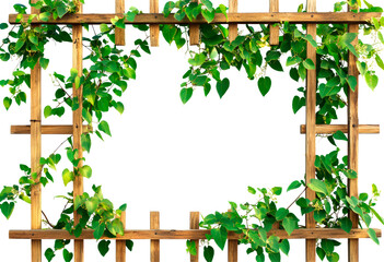 Decorative wooden trellis with lush green vines PNG