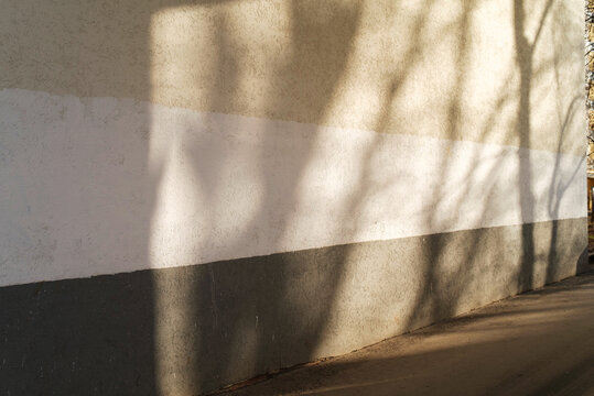 Shadows cast on a textured wall during late afternoon light 