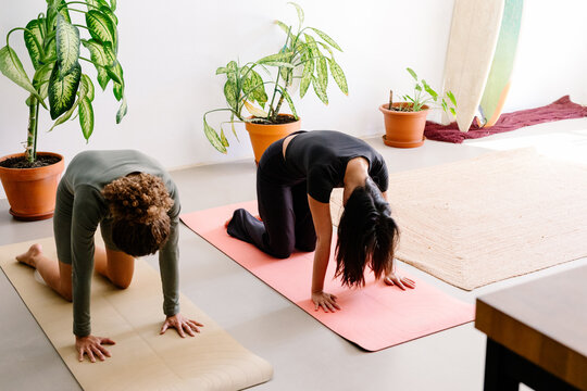 Diverse female frends practicing yoga poses in a serene home setting