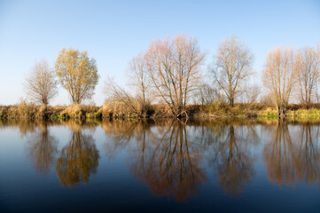 Autumn river landscape