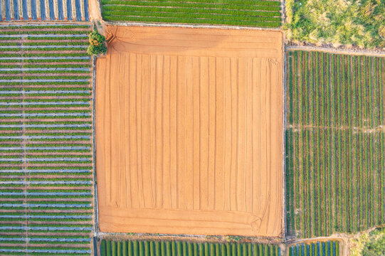 Aerial Photo of Tilled Soil Next to Green Crop Fields