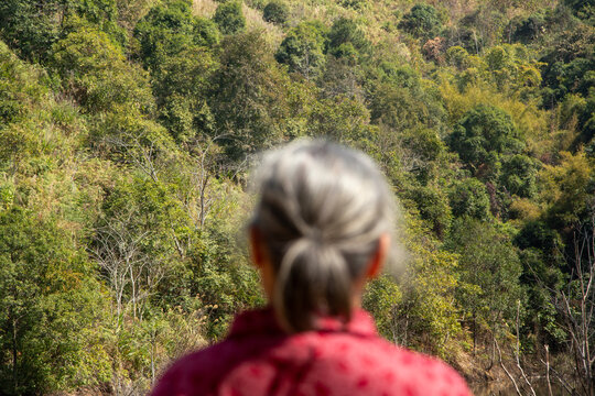 Facing the woods