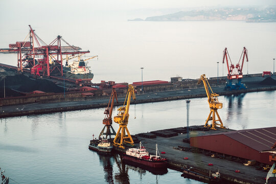 Cargo cranes loading and unloading merchandise in a commercial port