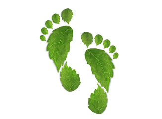 green leaf growing footprints, co2 symbol isolated on White Background. Reduce CO2 emission...