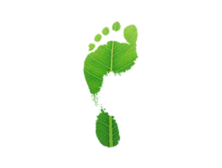 green leaf growing footprints, co2 symbol isolated on White Background. Reduce CO2 emission concept.Clean and friendly environment without carbon dioxide emissions.