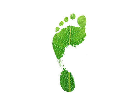 green leaf growing footprints, co2 symbol isolated on White Background. Reduce CO2 emission concept.Clean and friendly environment without carbon dioxide emissions.