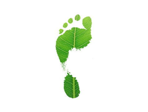 green leaf growing footprints, co2 symbol isolated on White Background. Reduce CO2 emission concept.Clean and friendly environment without carbon dioxide emissions.