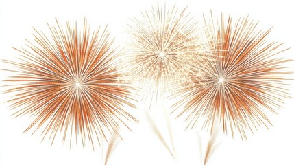 Colorful Fireworks Display in the Night Sky