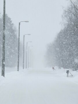 Winter Storm