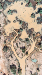 Drone shot of the bush near Bedourie, Diamantina Shire, channel country, Queensland, during March...