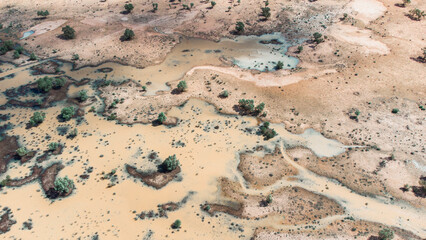 Drone shot of the bush near Bedourie, Diamantina Shire, channel country, Queensland, during March 2025 floods