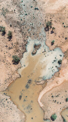 Drone shot of the bush near Bedourie, Diamantina Shire, channel country, Queensland, during March 2025 floods
