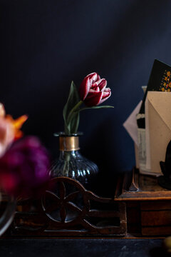 Red and white tulip on desktop