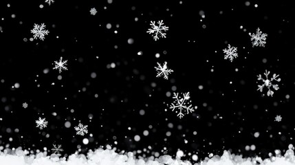 Winter Snowflakes Falling on Black Background