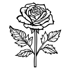 Red rose with it's stalk and leaves on a white background