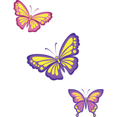 Decoration Springtime buterflies frame