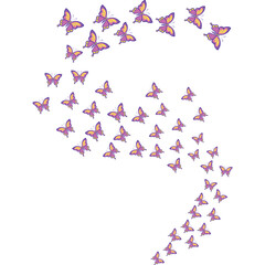 Decoration Springtime buterflies frame