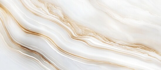 Elegant white and gold marble texture