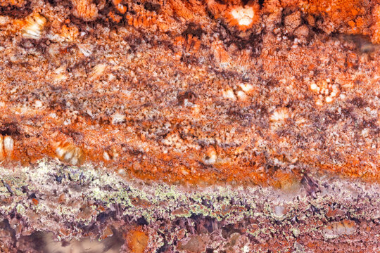 Java Moss Agate Patterns  