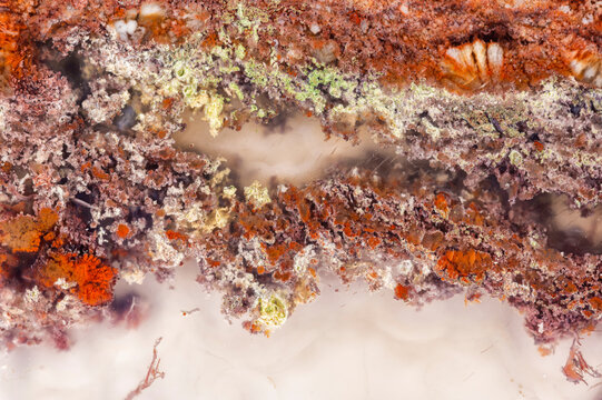 Java Moss Agate Textures  